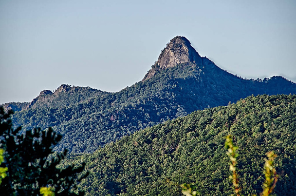 Hawksbill Dağı'nda Linville gorge Table Rock Mountain la ile - Fotoğraf, Görsel