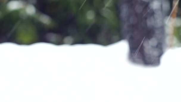 Sněhové pneumatiky kolejových k fotoaparátu - Záběry, video
