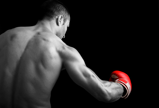 Young Boxer fighter over black background - Foto, Imagen