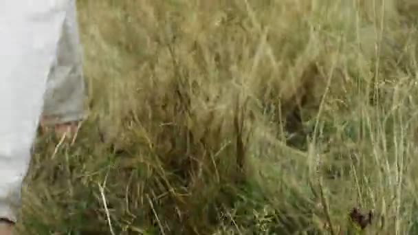 Running barefoot in grass - detail of mans feet in white linen pants - Materiaali, video