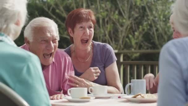 Ältere Freunde trinken Tee  - Filmmaterial, Video