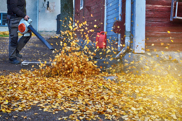 Ventilador de folhas no outono
 - Foto, Imagem