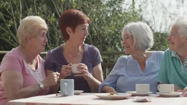  amigos mayores charlando con tazas de té
 - Metraje, vídeo