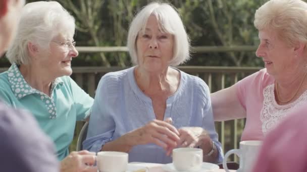  старшие друзья беседуют с чашками чая
 - Кадры, видео