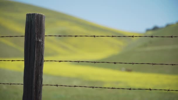 Middellange shot van een hek van prikkeldraad in de buurt van een ranch - Video