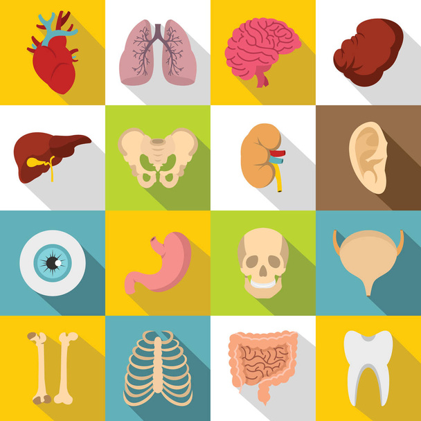 Human organs icons set, flat style - Vector, Image