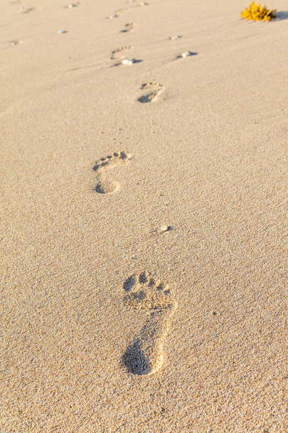 Śledzi stóp na piasku, Diniwid Beach Boracay Island, Filipiny - Zdjęcie, obraz