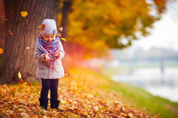beautiful happy baby girl having fun in autumn park - Foto, Imagen