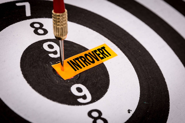 Darts target met inscriptie introvert - Foto, afbeelding