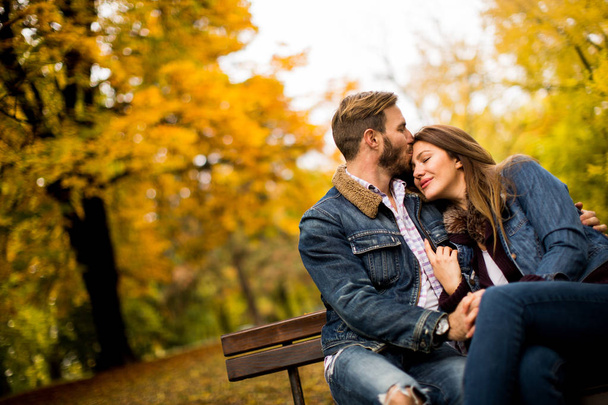 秋の公園で若いカップル - 写真・画像