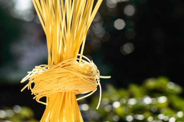 Спагетті і макарони гніздяться на сонячному світлі на відкритому повітрі. Зелений і білий
  - Фото, зображення