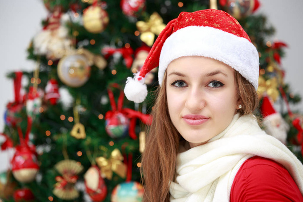 Natale, addobbi e simpatia - Photo, Image