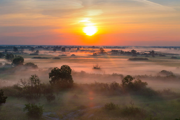 Foggy morning landscape - Photo, Image