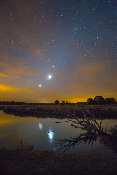 yıldızlı gece manzarası - Fotoğraf, Görsel