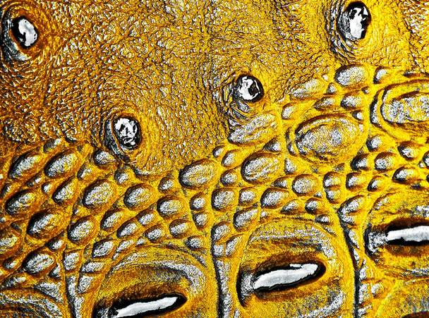 Yellow alligator skin texture for background - Foto, afbeelding