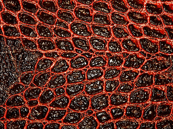 Red alligator patterned background - Φωτογραφία, εικόνα