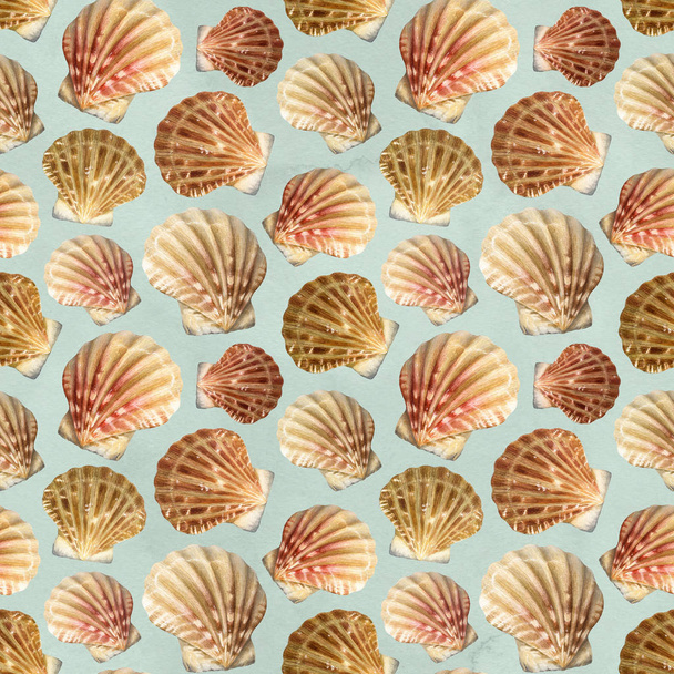 Seamless pattern with shells   - Фото, изображение