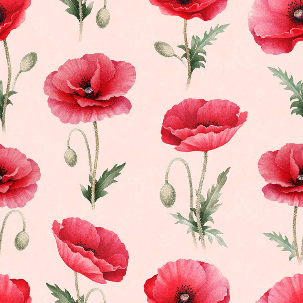 Watercolor illustration of poppy flowers - Foto, immagini
