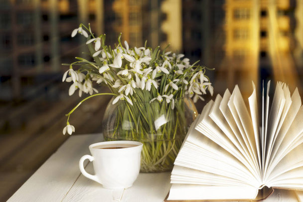 fiore sul libro davanti alla finestra al mattino
 - Foto, immagini