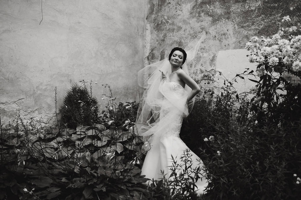 Bride poses in the old garden - Foto, afbeelding