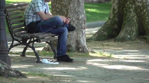 Ο άνθρωπος στηρίζεται σε ένα παγκάκι στο πάρκο νωρίς το απόγευμα - Πλάνα, βίντεο