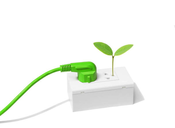 bouchon avec une jeune plante verte
 - Photo, image
