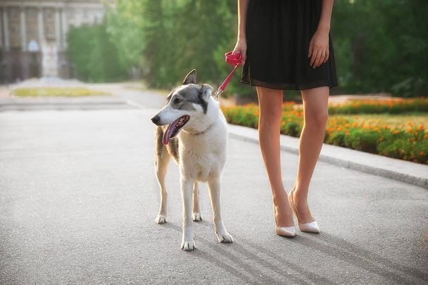woman walking with dog outside - Foto, Bild