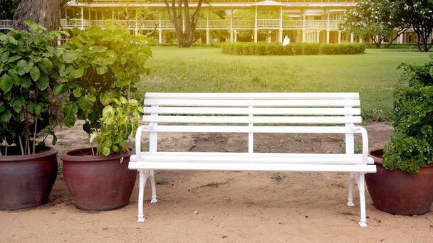 Белая скамейка с кустарником
 - Фото, изображение