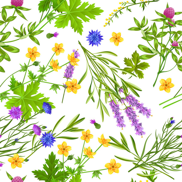 Herbs And Wild Flowers Seamless Pattern - Vektor, Bild
