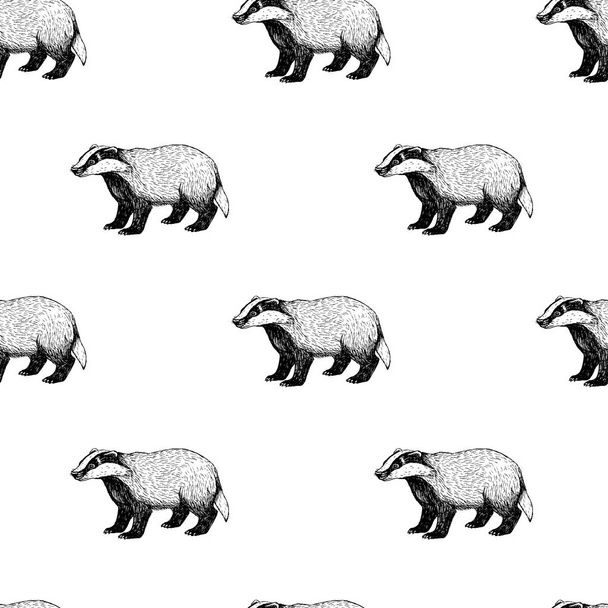 Seamless pattern with badger. Background in vintage style. - Vector, Image