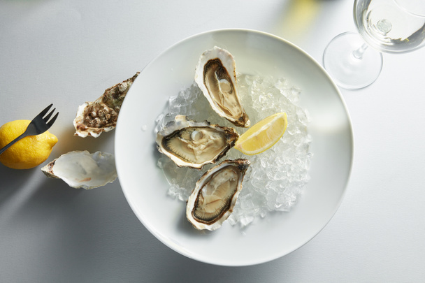 Oysters with lemon on plates - Foto, afbeelding