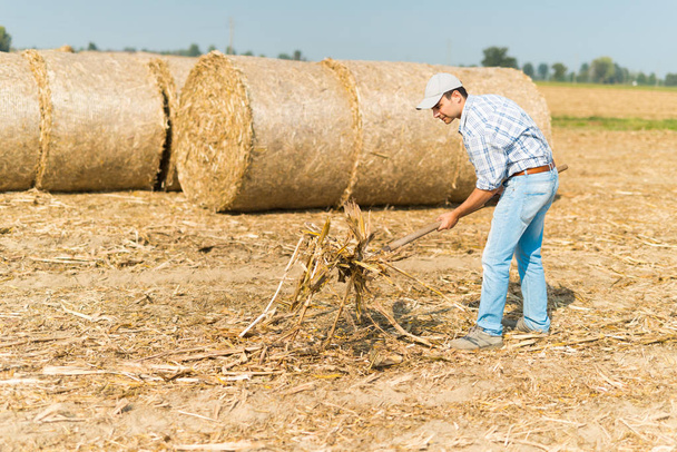 Farmer at work in field - Foto, afbeelding