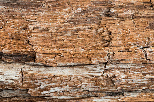 Hnědá textura dřeva ze stodoly - Fotografie, Obrázek