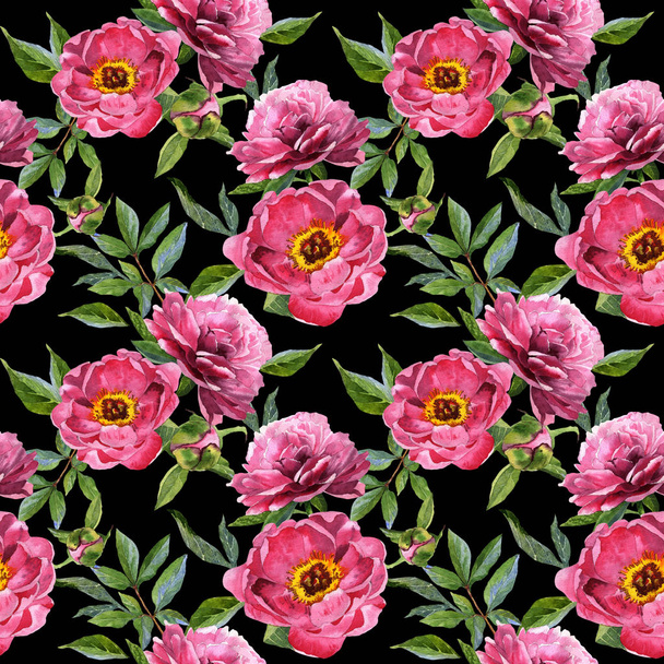 Wildflower peony flower pattern in a watercolor style isolated. - Fotoğraf, Görsel