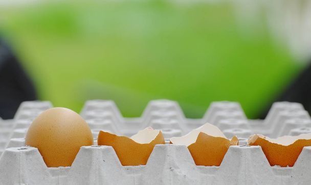 Son yumurta yumurta kabuğu yumurta tepsiye yerleştirilir kadar kapatın - Fotoğraf, Görsel