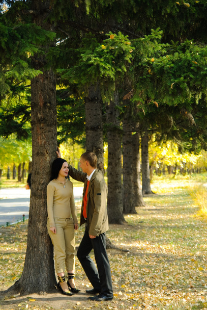 Couple in autumn park - Фото, зображення