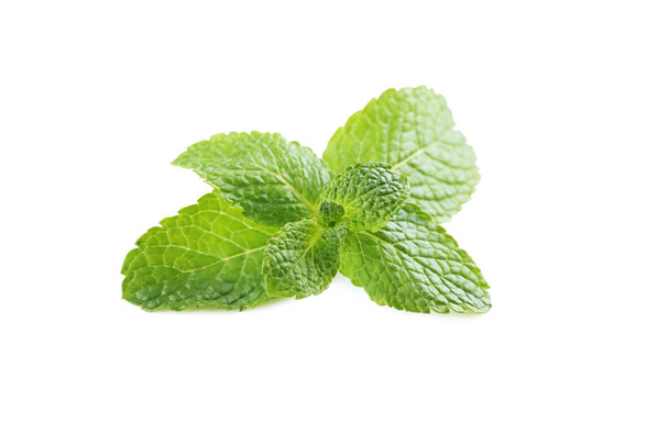 Fresh mint leaves isolated  - Foto, immagini