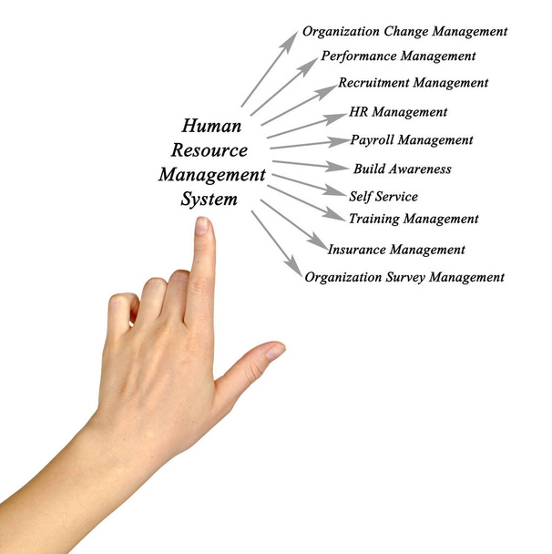 Система управления человеческими ресурсами
 - Фото, изображение