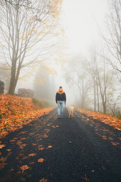 Homme avec chien en automne nature
 - Photo, image