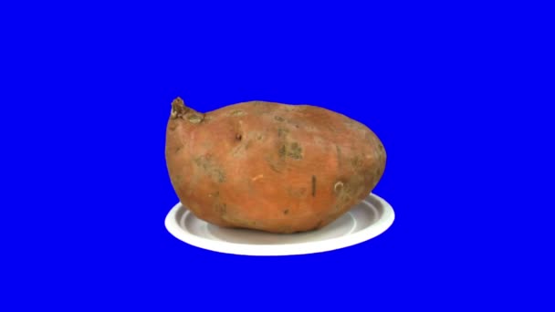 Dönen dikişsiz döngü batatas sebze 1x - Video, Çekim