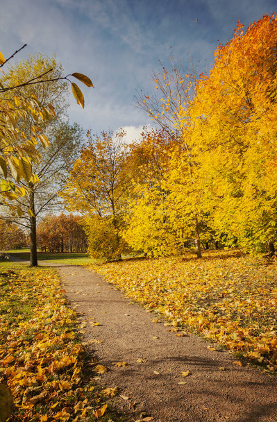 Park path in autumn - Fotoğraf, Görsel