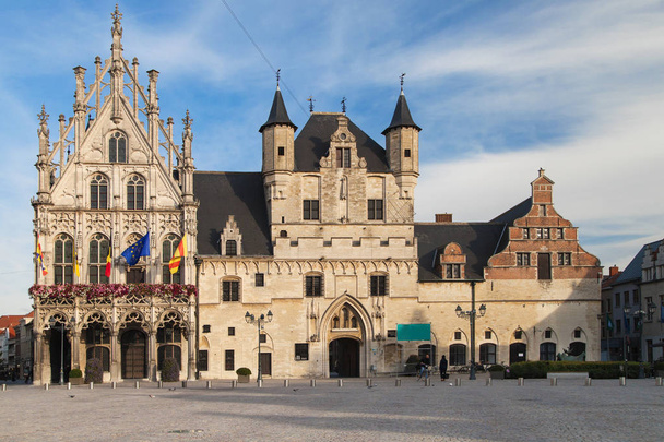 Mechelen Town Hall - 写真・画像