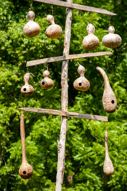 Hanging Gourd Birdhouses - Photo, Image
