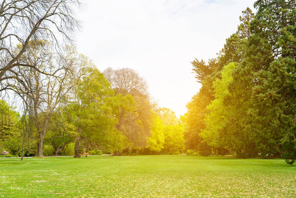 schöne Parkszene im öffentlichen Park mit grünem Rasen, grüner Baumbepflanzung und einem leicht bewölkten blauen Himmel - Foto, Bild