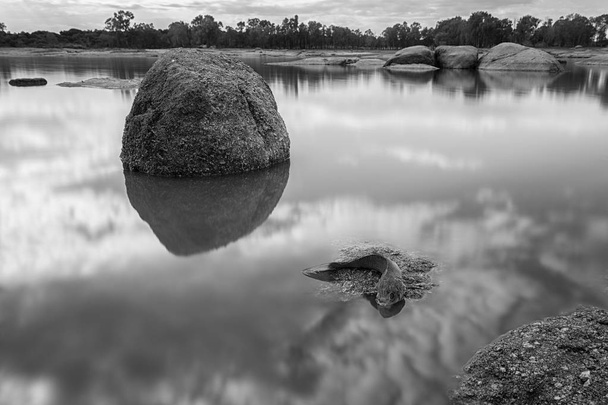 Muerte en el pantano - Fotografie, Obrázek