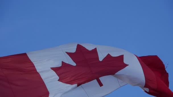 Канадський прапор в уповільненому Русі - Кадри, відео