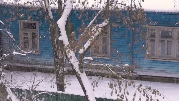 Snow is beautiful it is blowing a Blizzard - Video, Çekim