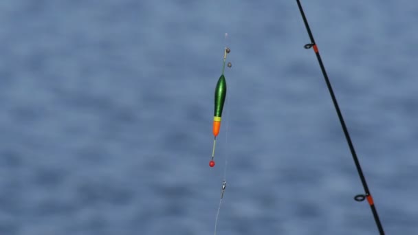 Bir çubuk balıkçılık float - Video, Çekim