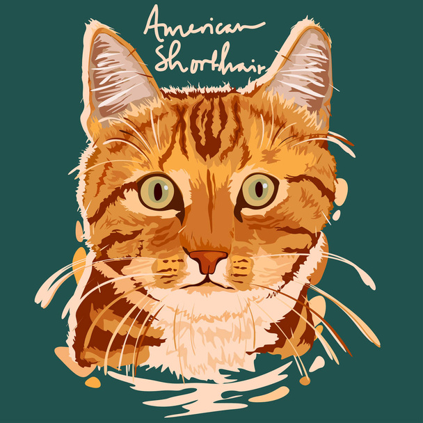 American Shorthair Painting Poster - Vector, Image