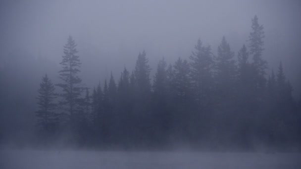 カナダの湖で超霧の朝  - 映像、動画